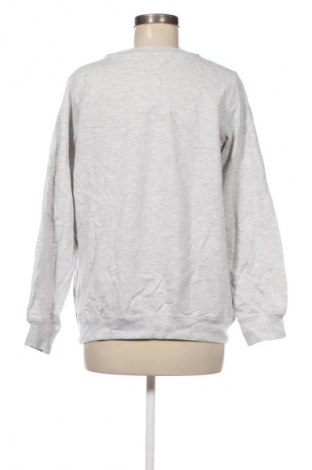 Γυναικεία μπλούζα Janina, Μέγεθος L, Χρώμα Γκρί, Τιμή 4,99 €