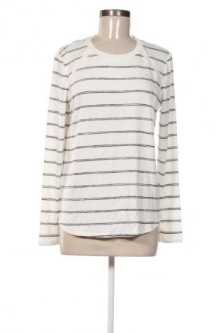 Damen Shirt Market&Spruce, Größe L, Farbe Mehrfarbig, Preis 20,99 €