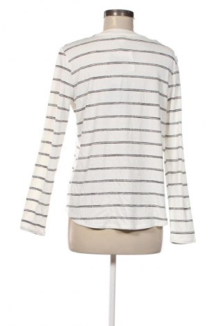 Damen Shirt Market&Spruce, Größe L, Farbe Mehrfarbig, Preis 20,99 €