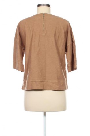 Damen Shirt Massimo Dutti, Größe XS, Farbe Braun, Preis € 18,99