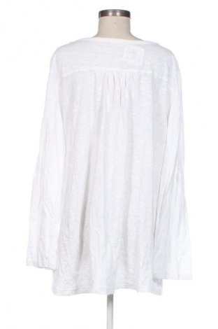Damen Shirt Okay, Größe XL, Farbe Weiß, Preis € 9,99