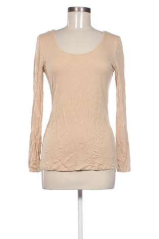 Damen Shirt Patrizia Dini, Größe M, Farbe Braun, Preis 8,99 €