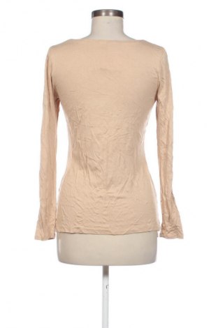 Damen Shirt Patrizia Dini, Größe M, Farbe Braun, Preis 8,99 €