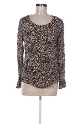 Γυναικεία μπλούζα Set, Μέγεθος S, Χρώμα Πολύχρωμο, Τιμή 24,48 €