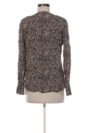 Γυναικεία μπλούζα Set, Μέγεθος S, Χρώμα Πολύχρωμο, Τιμή 24,48 €