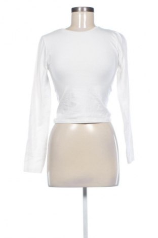 Damen Shirt Sinsay, Größe S, Farbe Weiß, Preis 9,71 €