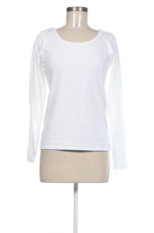 Γυναικεία μπλούζα Sinsay, Μέγεθος XL, Χρώμα Λευκό, Τιμή 8,99 €