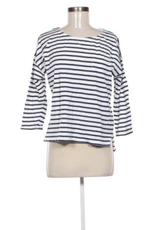 Damen Shirt Springfield, Größe L, Farbe Mehrfarbig, Preis € 6,99