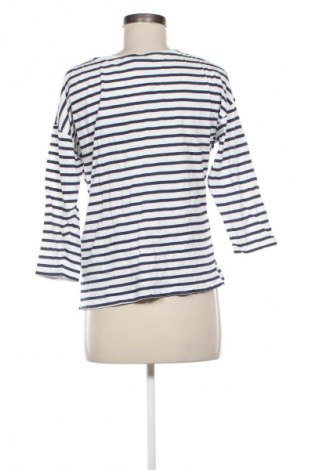 Damen Shirt Springfield, Größe L, Farbe Mehrfarbig, Preis € 6,99