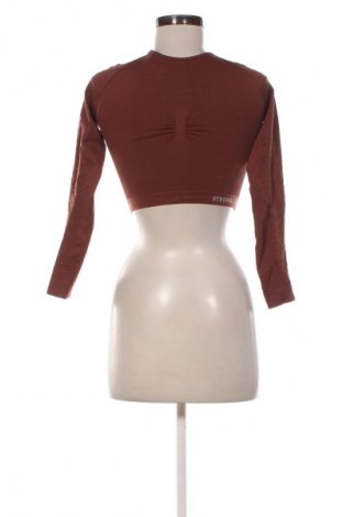 Damen Shirt Unbranded, Größe XS, Farbe Braun, Preis 11,79 €