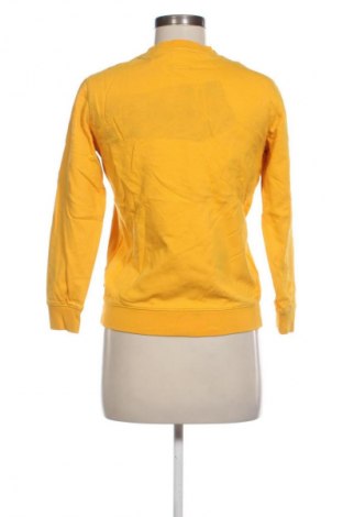 Γυναικεία μπλούζα Vans, Μέγεθος M, Χρώμα Πορτοκαλί, Τιμή 12,99 €