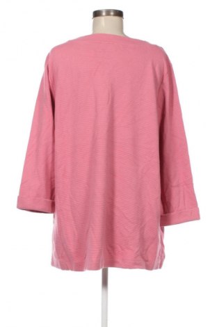 Γυναικεία μπλούζα Via Appia, Μέγεθος XXL, Χρώμα Ρόζ , Τιμή 17,99 €