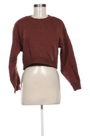 Damen Shirt Zara, Größe S, Farbe Braun, Preis € 8,99