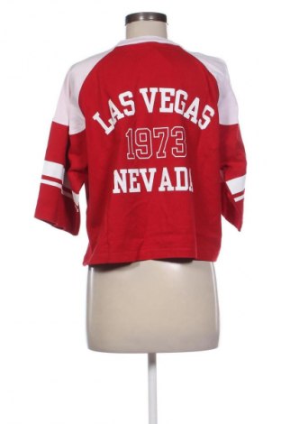 Dámská halenka Zara, Velikost M, Barva Vícebarevné, Cena  255,00 Kč