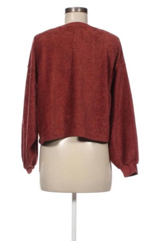 Damen Shirt Zara, Größe L, Farbe Braun, Preis 12,99 €