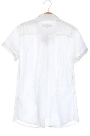 Damenbluse Answear, Größe XS, Farbe Weiß, Preis 12,79 €