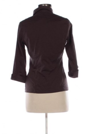 Damenbluse Colours Of The World, Größe S, Farbe Braun, Preis 12,77 €