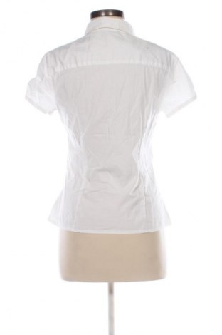 Damenbluse H&M Divided, Größe L, Farbe Ecru, Preis € 9,99