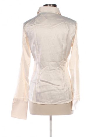 Γυναικείο πουκάμισο Hawes & Curtis, Μέγεθος XL, Χρώμα  Μπέζ, Τιμή 20,46 €