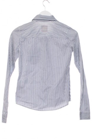 Damenbluse Hollister, Größe XS, Farbe Mehrfarbig, Preis 20,92 €