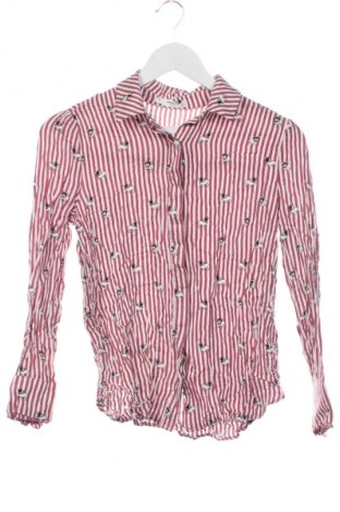 Γυναικείο πουκάμισο Mango, Μέγεθος XS, Χρώμα Πολύχρωμο, Τιμή 6,99 €