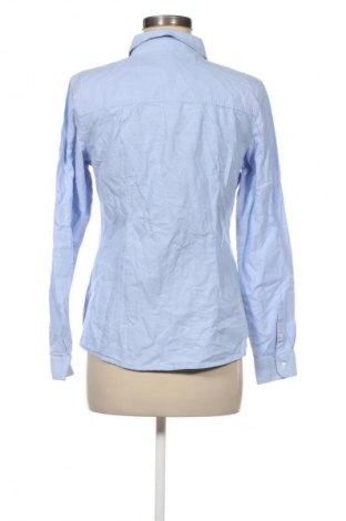 Damenbluse Montego, Größe M, Farbe Blau, Preis € 9,99