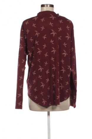 Γυναικείο πουκάμισο Schiesser, Μέγεθος XXL, Χρώμα Πολύχρωμο, Τιμή 56,99 €