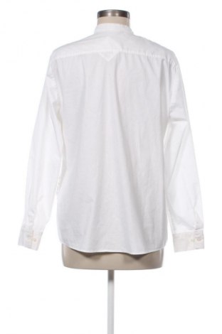 Damska koszula Walbusch, Rozmiar L, Kolor Biały, Cena 126,67 zł