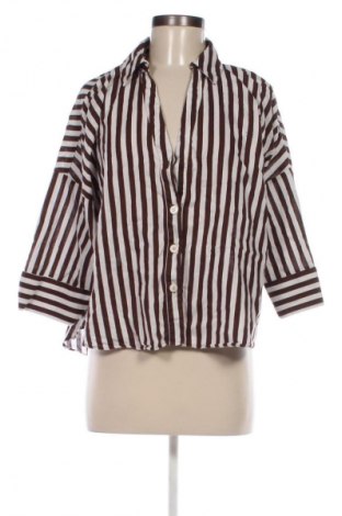 Damska koszula Zara, Rozmiar L, Kolor Kolorowy, Cena 78,32 zł