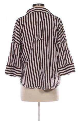 Damska koszula Zara, Rozmiar L, Kolor Kolorowy, Cena 78,32 zł