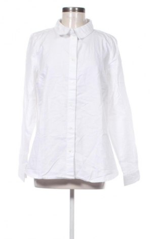 Damenbluse Zizzi, Größe M, Farbe Weiß, Preis € 41,99