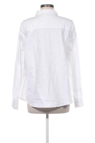 Damenbluse Zizzi, Größe M, Farbe Weiß, Preis € 41,99