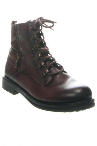 Damskie botki Bugatti, Rozmiar 37, Kolor Brązowy, Cena 497,00 zł