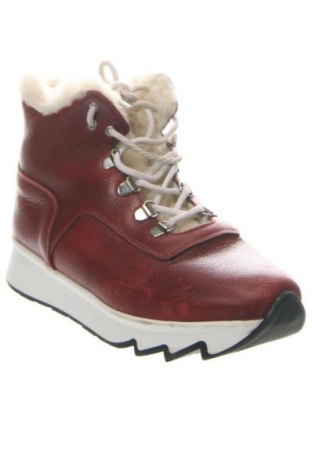 Damskie botki Unbranded, Rozmiar 37, Kolor Kolorowy, Cena 232,18 zł