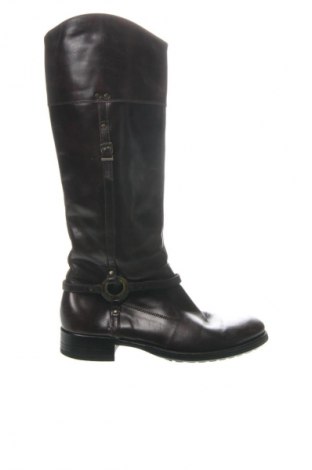 Dámske topánky  Nero Giardini, Veľkosť 38, Farba Hnedá, Cena  52,69 €