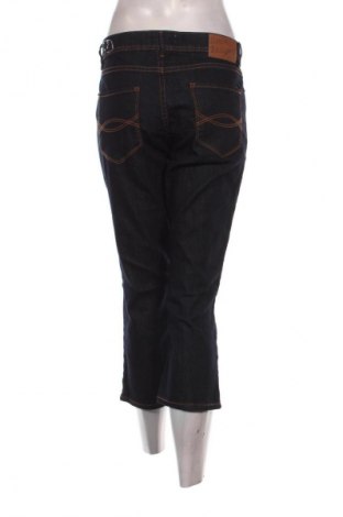 Dámske džínsy  Janina, Veľkosť L, Farba Modrá, Cena  8,95 €