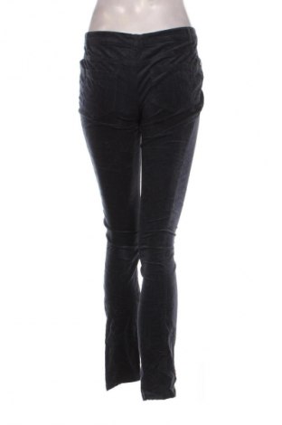 Damskie sztruksy Conbipel, Rozmiar M, Kolor Niebieski, Cena 49,99 zł