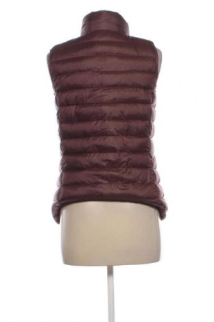 Damenweste Closed, Größe M, Farbe Braun, Preis € 76,99