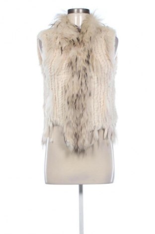 Damenweste Oakwood, Größe XS, Farbe Beige, Preis 41,94 €