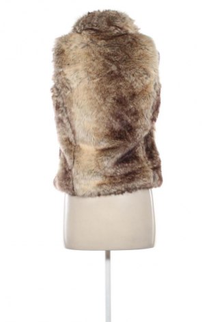 Dámska vesta  Jennifer Taylor, Veľkosť M, Farba Viacfarebná, Cena  12,95 €