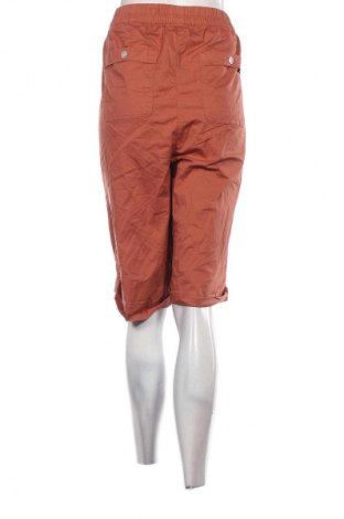 Damen Shorts Bpc Bonprix Collection, Größe XXL, Farbe Braun, Preis € 11,99