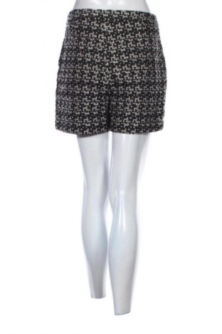 Γυναικείο κοντό παντελόνι Lauren Vidal, Μέγεθος M, Χρώμα Πολύχρωμο, Τιμή 13,99 €