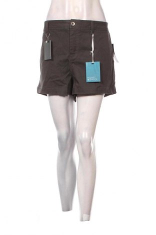 Γυναικείο κοντό παντελόνι Market&Spruce, Μέγεθος XXL, Χρώμα Γκρί, Τιμή 18,99 €
