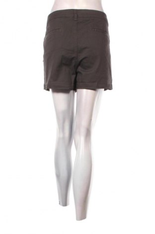 Γυναικείο κοντό παντελόνι Market&Spruce, Μέγεθος XXL, Χρώμα Γκρί, Τιμή 18,99 €