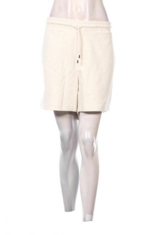 Damen Shorts Original Penguin, Größe XXL, Farbe Mehrfarbig, Preis 51,99 €