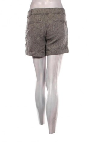 Γυναικείο κοντό παντελόνι S.Oliver, Μέγεθος XL, Χρώμα Πολύχρωμο, Τιμή 9,99 €