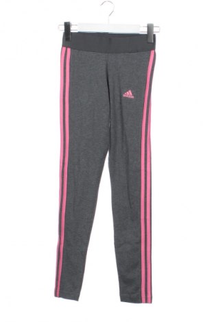 Damen Leggings Adidas, Größe XS, Farbe Grau, Preis 39,37 €