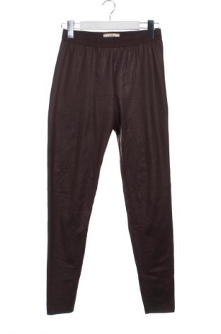 Dámské legíny  Essentials by Tchibo, Velikost XS, Barva Hnědá, Cena  189,00 Kč