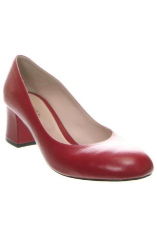 Dámské boty  Dasha, Velikost 40, Barva Červená, Cena  1 879,00 Kč