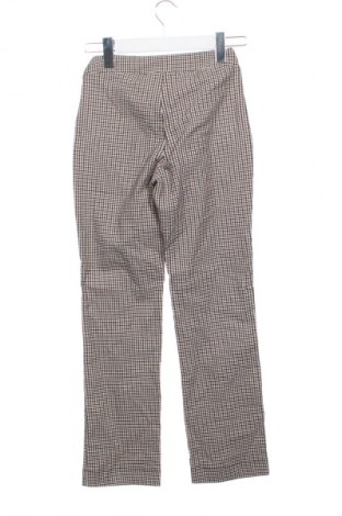 Damskie spodnie Calzedonia, Rozmiar XS, Kolor Kolorowy, Cena 40,99 zł